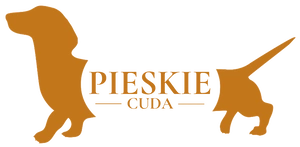 Logo Pieskie Cuda