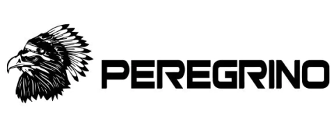 Logo Peregrinonacional