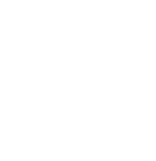 Logo A FLUY