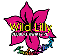 Logo Cebulki-kwiaty