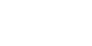 Logo Mi-store
