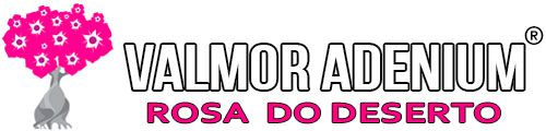 Logo Rosadodeserto