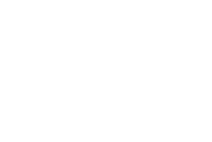 Logo Unidomestore