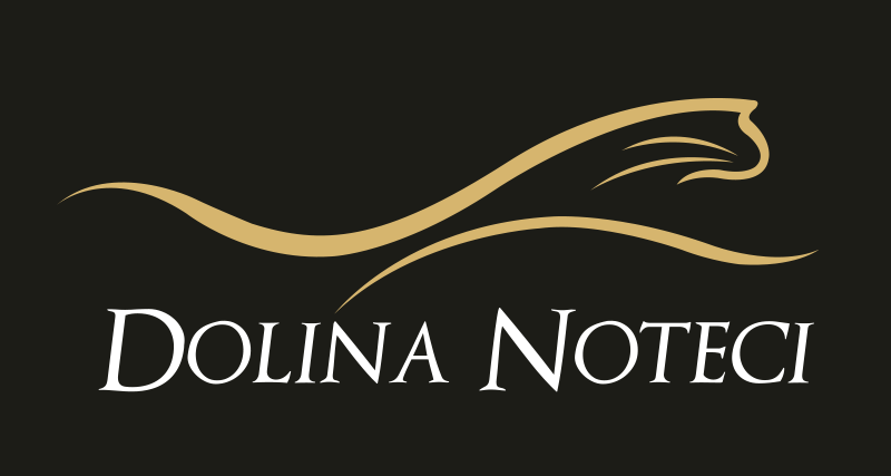 Logo Dolina Noteci