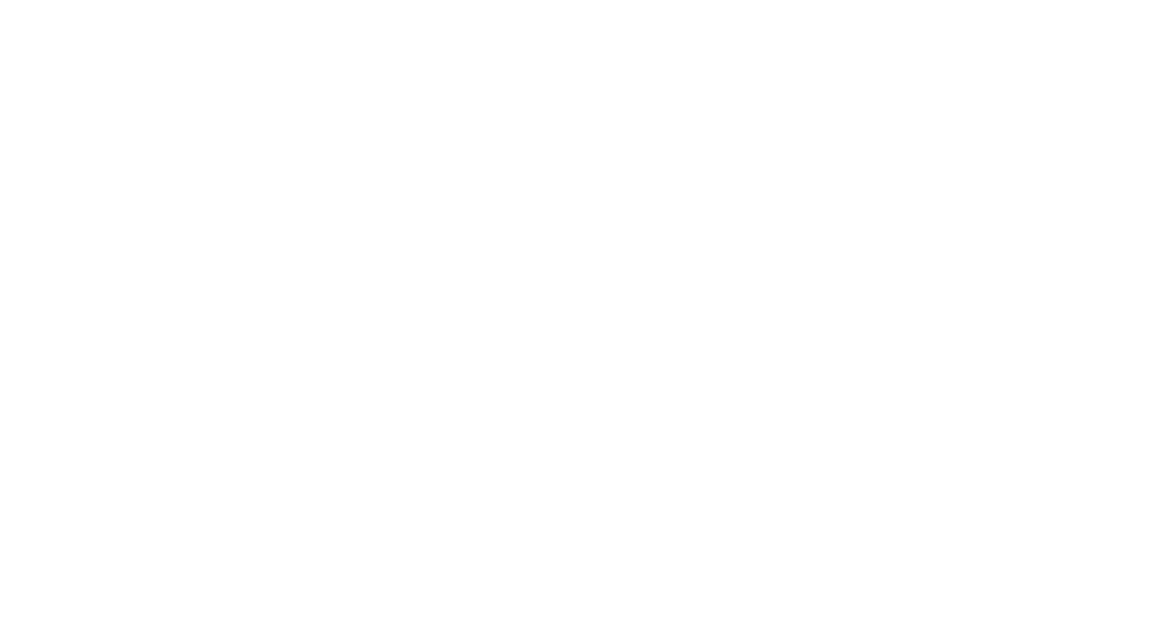 Logo AnimaxKot