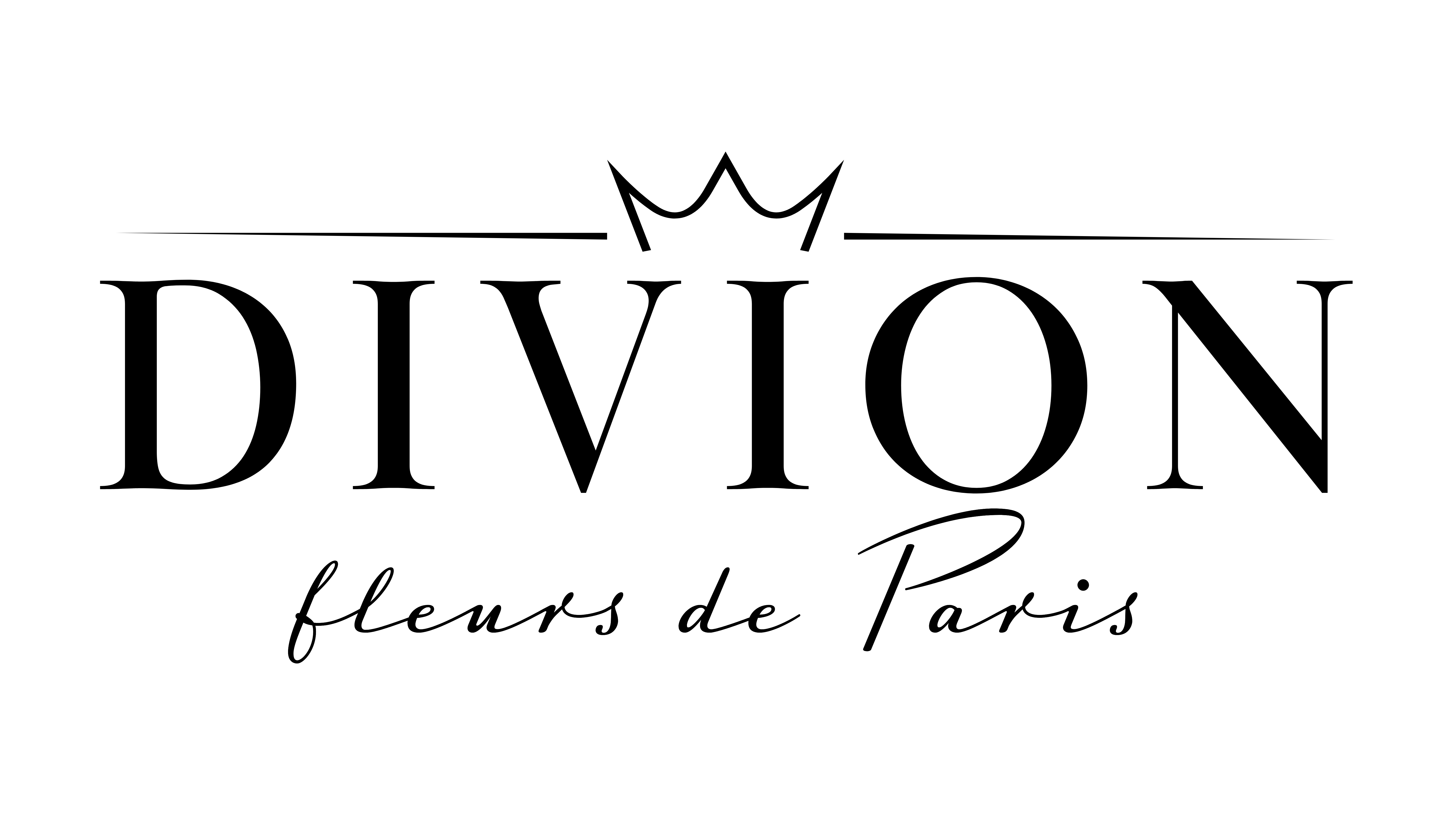 Logo Divionperfumes