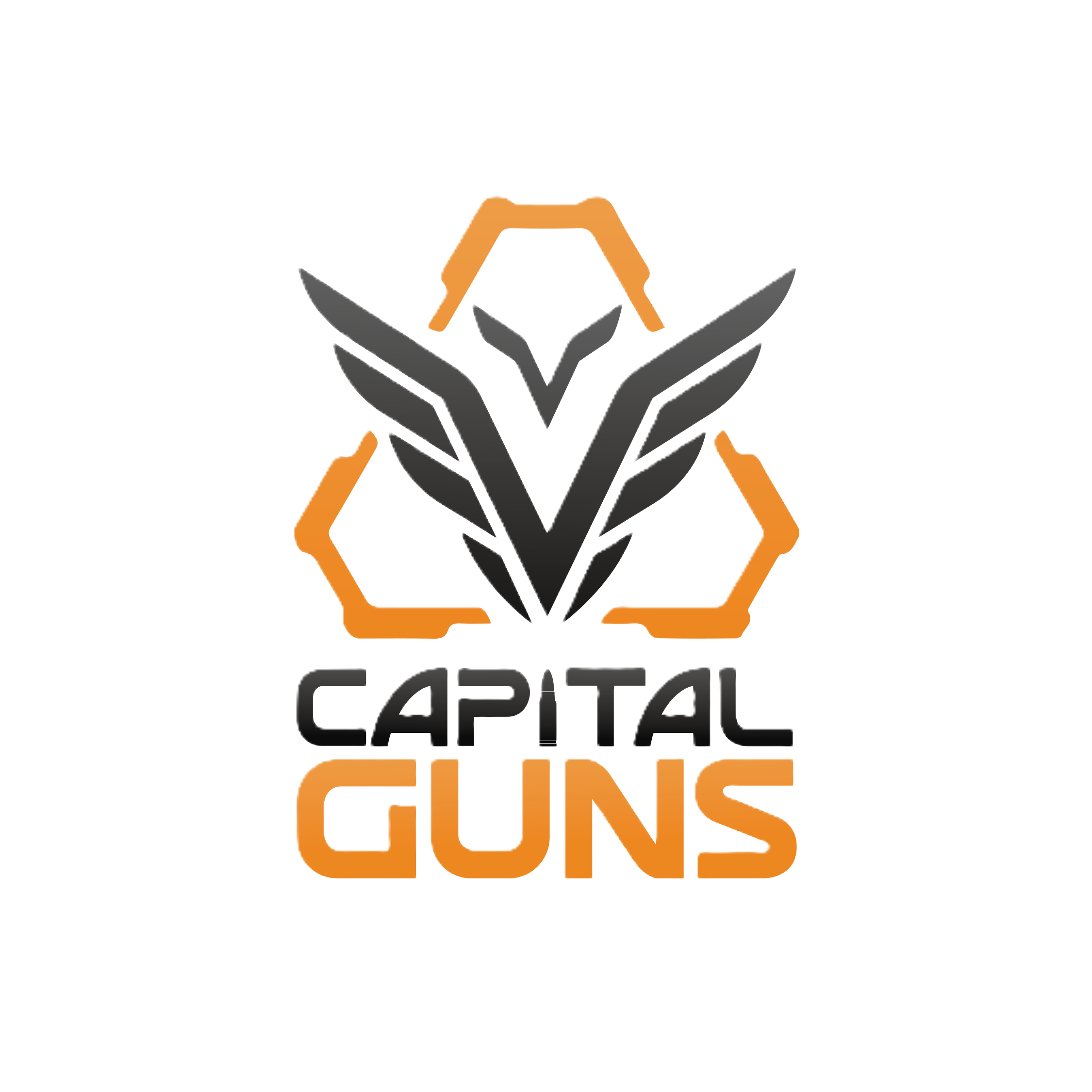 Logo A Capital Guns